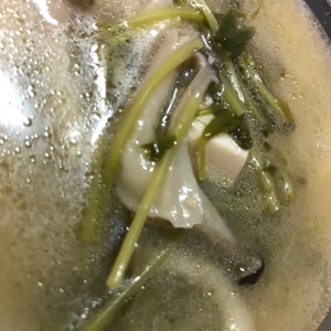 豆苗と豆腐の味噌汁